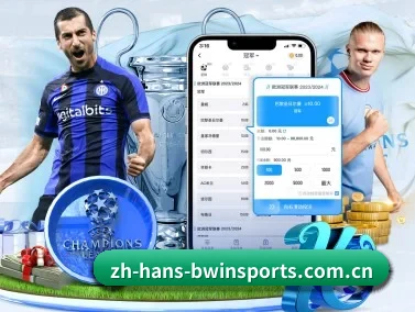 必赢体育 APP(BWIN SPORTS)